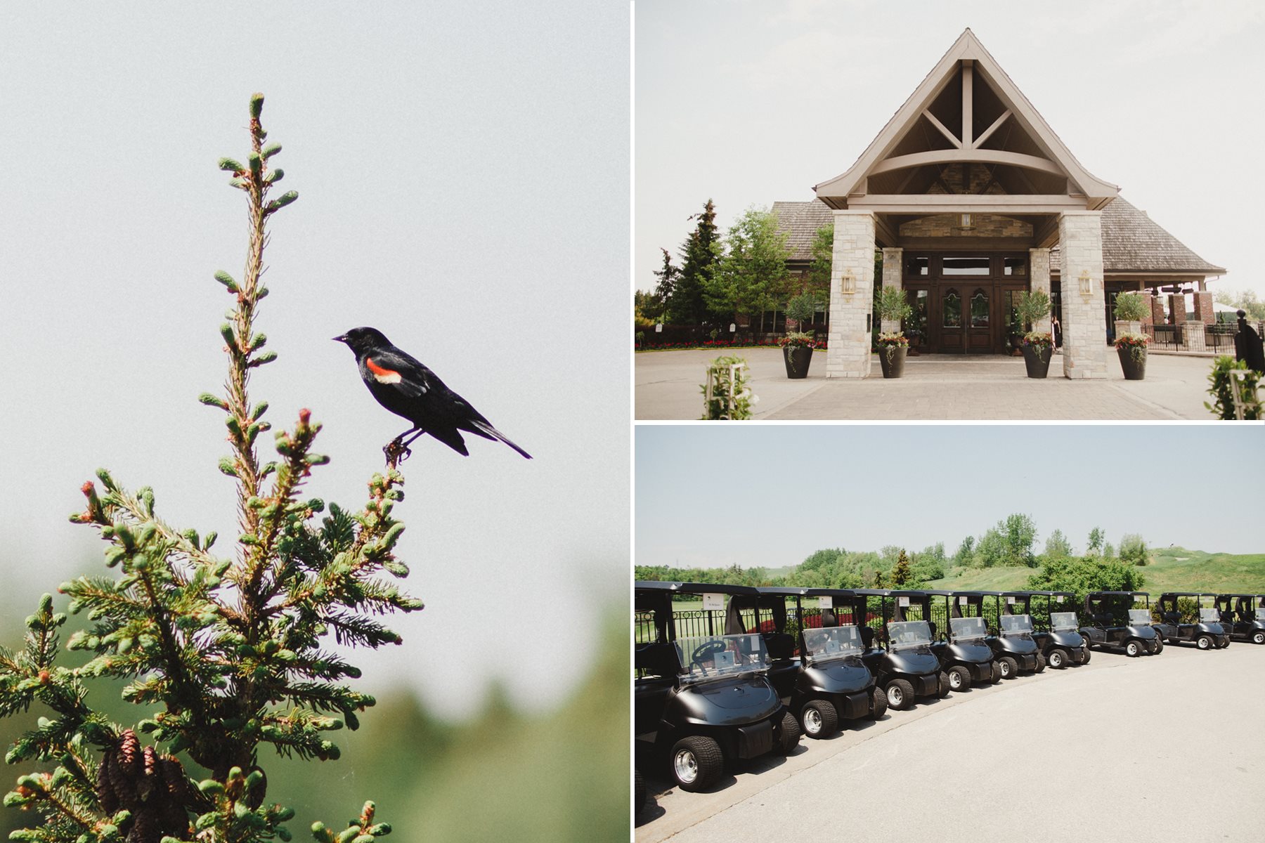 Eagles Nest Golf Club Wedding Photos by Top Toronto Wedding Photographer