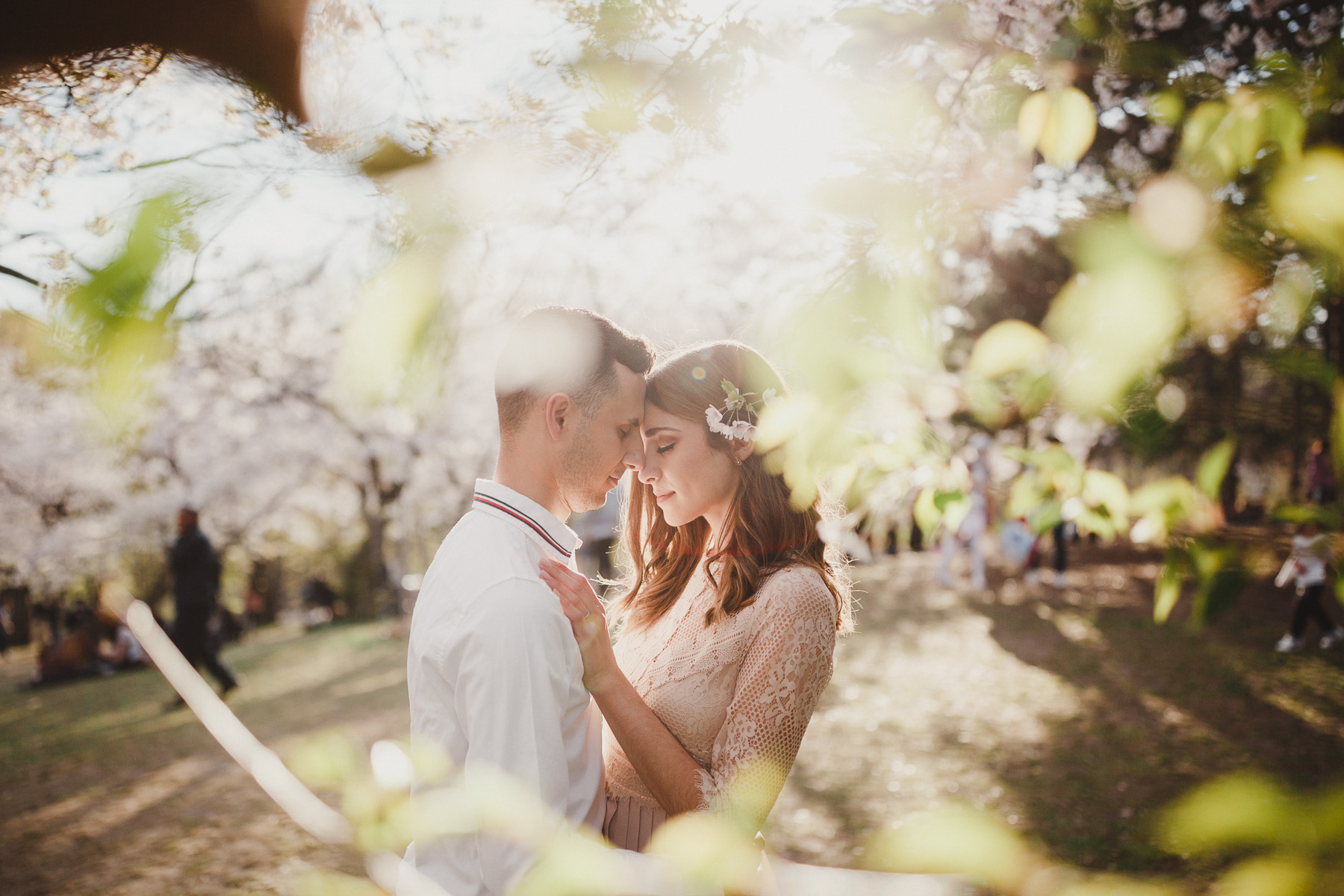 Toronto Cherry Blossom High Park Engagement Pictures