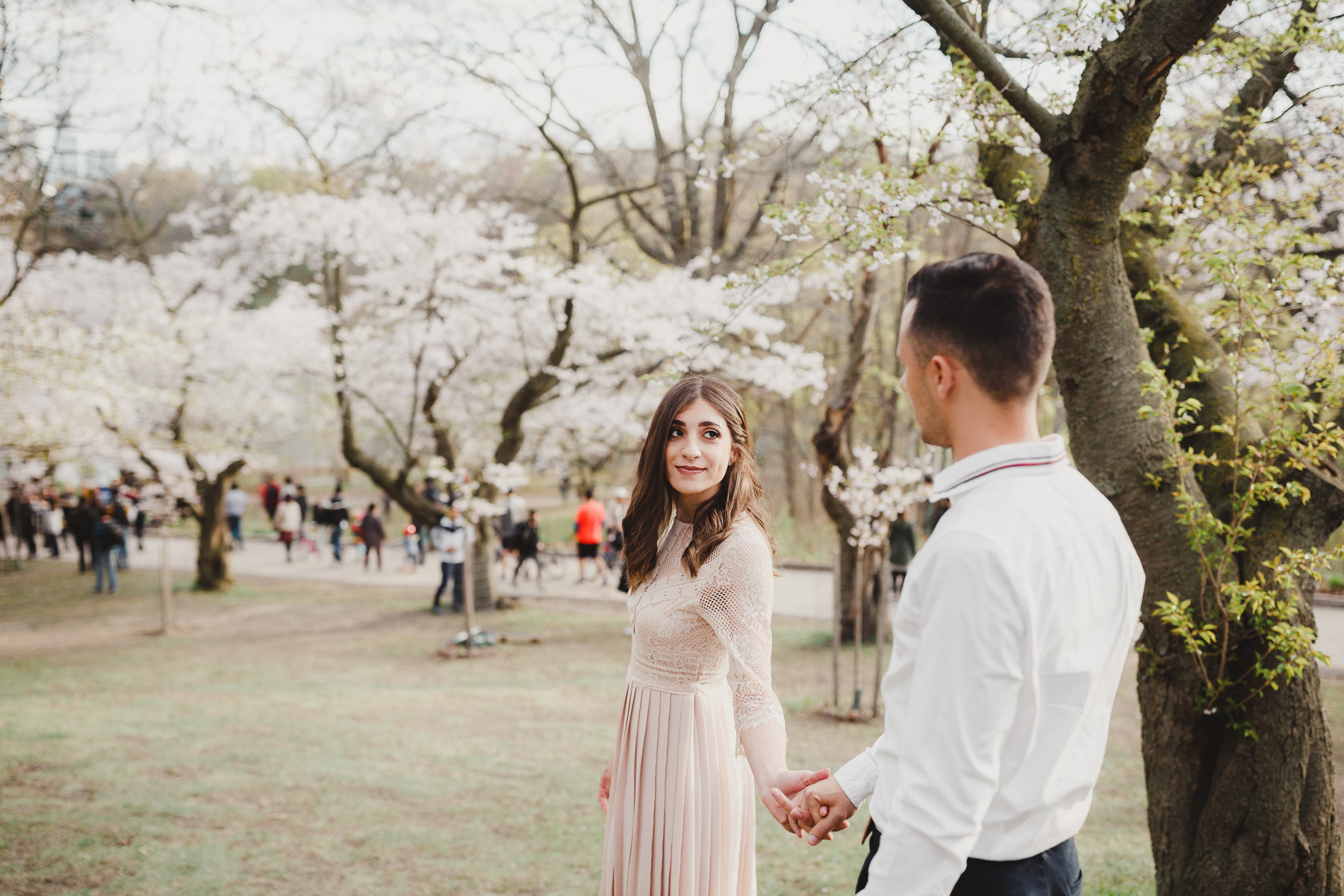 Toronto Cherry Blossom High Park Engagement Pictures